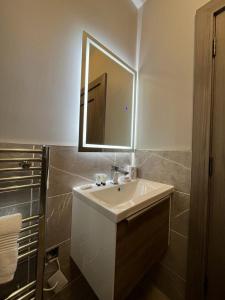 a bathroom with a white sink and a mirror at Horseleap BNB in Moate