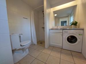 y baño con aseo y lavadora. en Wounderful holiday house with wifi, spa & sauna, en Gjern