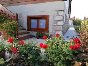 Zahrada ubytování Dana apartmani