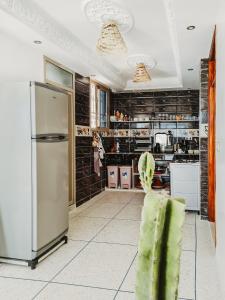 a kitchen with a stainless steel refrigerator and a cactus at cactus surf house in Tamraght Ouzdar