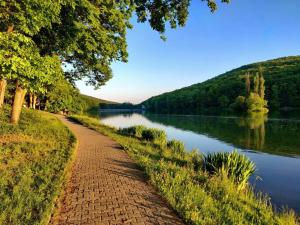 a brick path next to a river with trees at V srdci mesta in Gerlachov