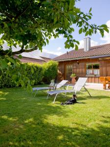 a dog laying in the grass next to two benches at Ferienlandhaus Brunner in Zachenberg