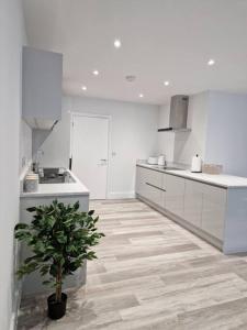 a white kitchen with a potted plant in the middle at Luxury 3 Bed House, Parking, Garden and 2 Office desks 2 in Southbourne