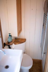 a small bathroom with a toilet and a sink at Harrys Hideout - Shepherd's Huts at Harrys Cottages in Pen y Clawdd