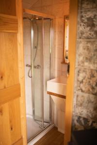 a bathroom with a shower and a sink at Harrys Hideout - Shepherd's Huts at Harrys Cottages in Pen y Clawdd