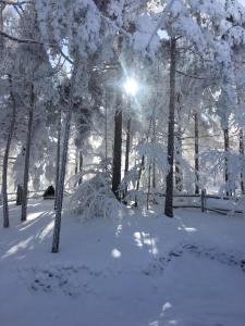 Vikendica Martinović kapag winter