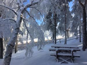 Vikendica Martinović kapag winter