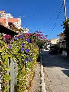 Fotografie z fotogalerie ubytování Dina Apartment v destinaci Skála Kefalonia