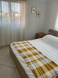 Postel nebo postele na pokoji v ubytování Dina Apartment