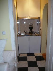 Kuchyň nebo kuchyňský kout v ubytování Apartments Villa Majda