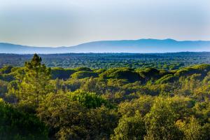 Afbeelding uit fotogalerij van A Serenada Enoturismo in Grândola