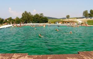 grupa ludzi pływających w basenie w obiekcie Ferienlandhaus Brunner w mieście Zachenberg