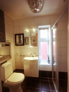 a bathroom with a toilet and a sink and a window at Bryggen in Bergen