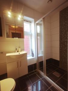 a bathroom with a shower and a sink and a toilet at Bryggen in Bergen