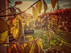 A garden outside Residenza Il Fiore