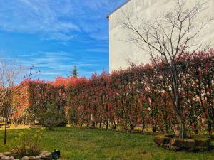A garden outside Residenza Il Fiore