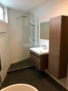 een badkamer met een wastafel en een douche bij Hotel Tongerlo in Roosendaal