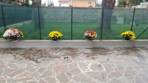 Fotografie z fotogalerie ubytování Affittacamere cosulich v Monfalcone