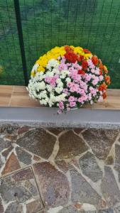 Fotografie z fotogalerie ubytování Affittacamere cosulich v Monfalcone