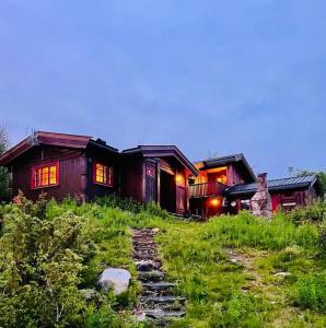 ein Haus auf einem Hügel mit einem Weg davor in der Unterkunft Koselig familiehytte på vakre Dagali - nær Geilo in Dagali + 43 Fotos