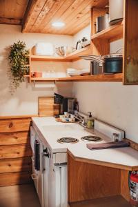 a kitchen with a stove and a counter top at Wilder and Pine Riverside Cabins in Stevenson