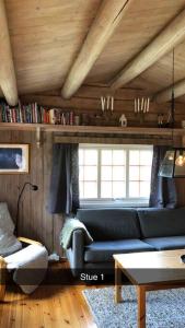 ein Wohnzimmer mit Sofa und Tisch in der Unterkunft Koselig familiehytte på vakre Dagali - nær Geilo in Dagali