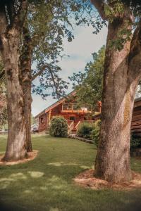 a log cabin with two trees in the yard at Wilder and Pine Riverside Cabins in Stevenson