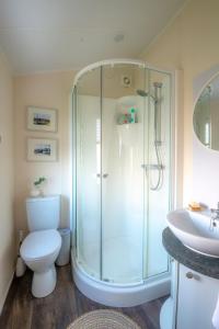 a bathroom with a shower and a toilet and a sink at Bay View Lodge, Brynowen in Borth +15 photos
