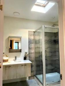 y baño con ducha acristalada y lavamanos. en Wynters'Escape-gated 1 or 2 Bedroom w PuertoSecoBeach access, en Discovery Bay