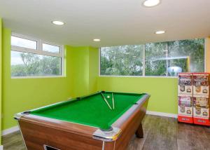 a pool table in a room with green walls at Castle Brake Holiday Park in Woodbury