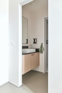 Kuchyň nebo kuchyňský kout v ubytování B&B Vossebergen Hombeek