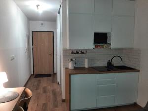 Kuchyňa alebo kuchynka v ubytovaní Apartament Zachód