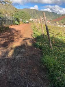 een onverharde weg met een hek en een veld bij Casita entre Viñedos, Experiencia Rural, Ideal niños. in Tegueste