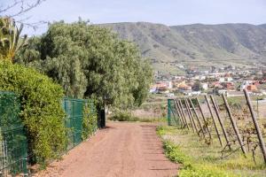 un camino de tierra con una valla y un árbol en Casita entre Viñedos, Experiencia Rural, Ideal niños. en Tegueste
