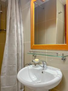 a bathroom with a white sink and a mirror at Apartman Sakovic in Kopaonik