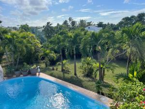 - une piscine dans un complexe avec des palmiers dans l'établissement Villa Florentine - Saint François - Guadeloupe, à Saint-François