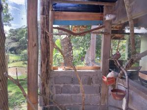 a window in a house with cats in it at Pousada Beija flor in Extrema