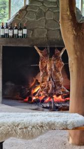 Зображення з фотогалереї помешкання Peuma Lodge Patagonia у місті Футалеуфу