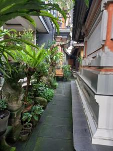 a corridor of a building filled with plants at Adi House Homestay in Ubud