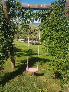 un columpio rosa colgando de un árbol en un patio en quinta vale da corga, en Murça