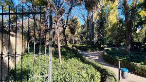 un camino a través de un parque con árboles y una valla en NordiK, en Valencia