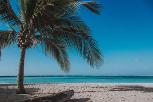 Fotografie z fotogalerie ubytování Hh-3Bs517 - Lux Ocean View Retreat Poolfab Amenities v destinaci Oranjestad + 32 fotografií