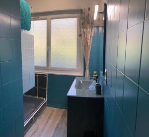niebieska łazienka z umywalką i oknem w obiekcie Superbe appartement tout confort w mieście Lyaud