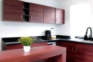 a kitchen with wooden cabinets and a potted plant on a counter at "Escapada perfecta" casa con albeca, jacuzzi y roof garden in Tlatenchu