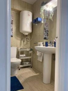 łazienka z umywalką i toaletą w obiekcie Apartamento Familiar w mieście Benalmádena