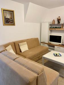 - un salon avec un canapé et une télévision dans l'établissement Apartman Anastasija Jezero, à Divčibare