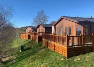 a row of wooden lodges on a grass field at Badgers Retreat Holiday Park in Hunton