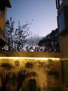 Fotografie z fotogalerie ubytování Hotel Pepen v destinaci San Cristóbal de Las Casas
