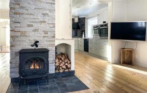 a kitchen with a fireplace with a television and a stove at Awesome Home In Idkerberget With Lake View in Grangärde