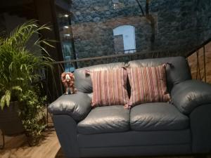 Posezení v ubytování Hotel Pepen